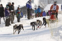 Lenk 2012 SM